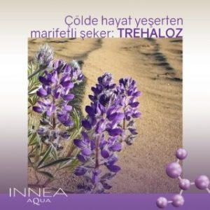 trehaloz nedir