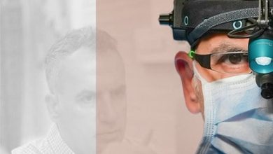 dik8 432x768 e1722763493635